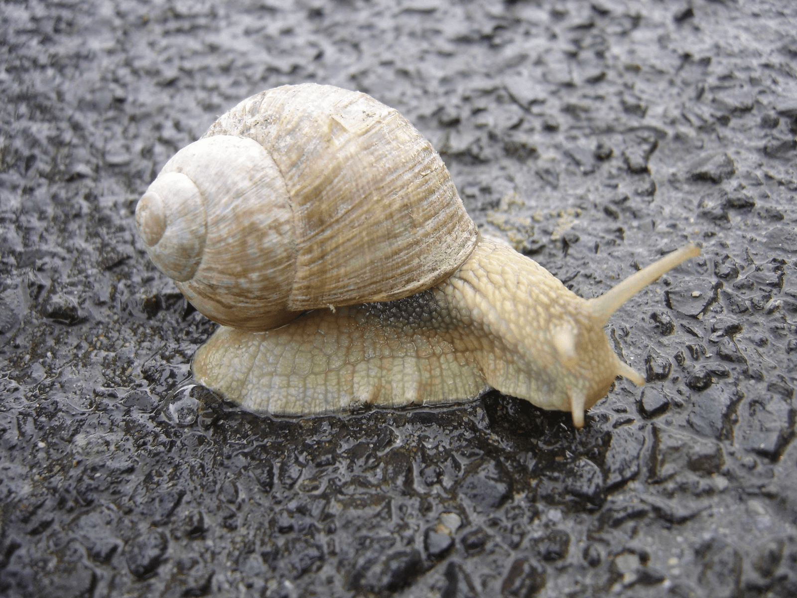 d5cc0b02-a28c-4865-a42f-118b1e80000c.png