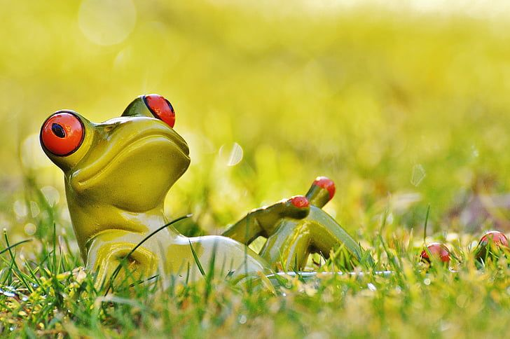 restful-api-design-cover-1x_pPZioQo.jpg